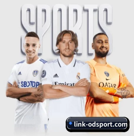 link-odsport.com围绕看球场景设计的核心服务